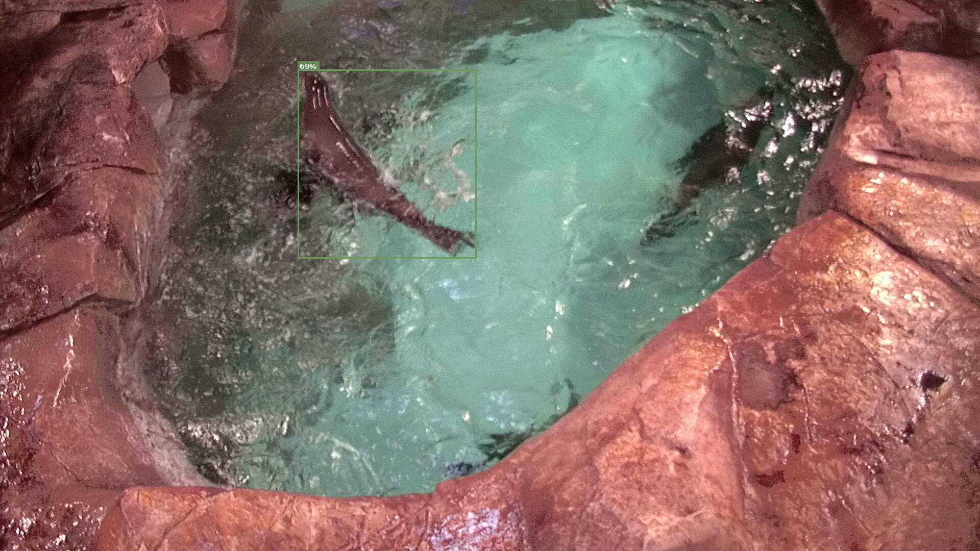 Mammal