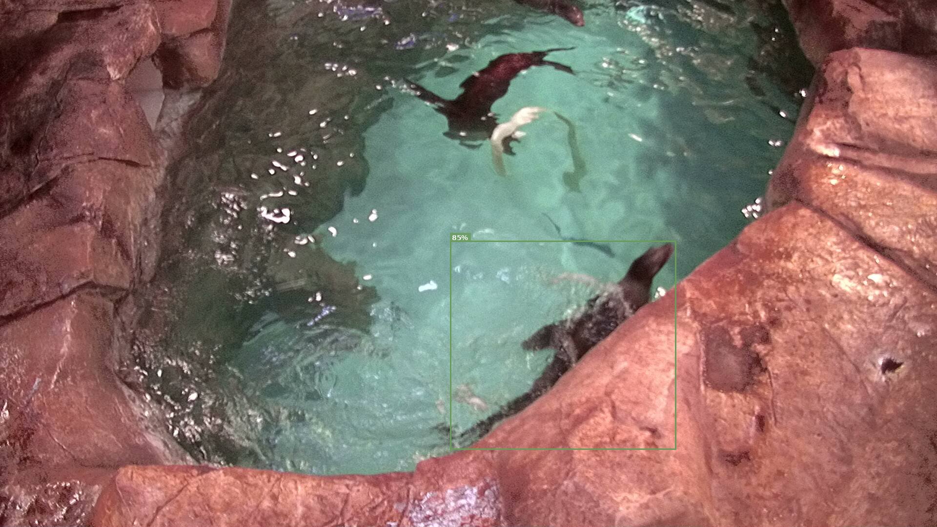 Georgia Aquarium