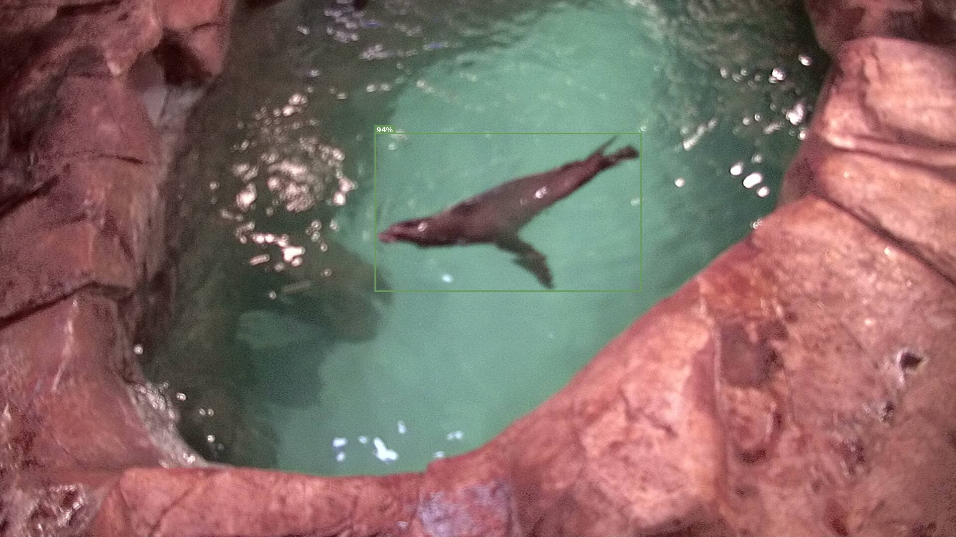 Mammal