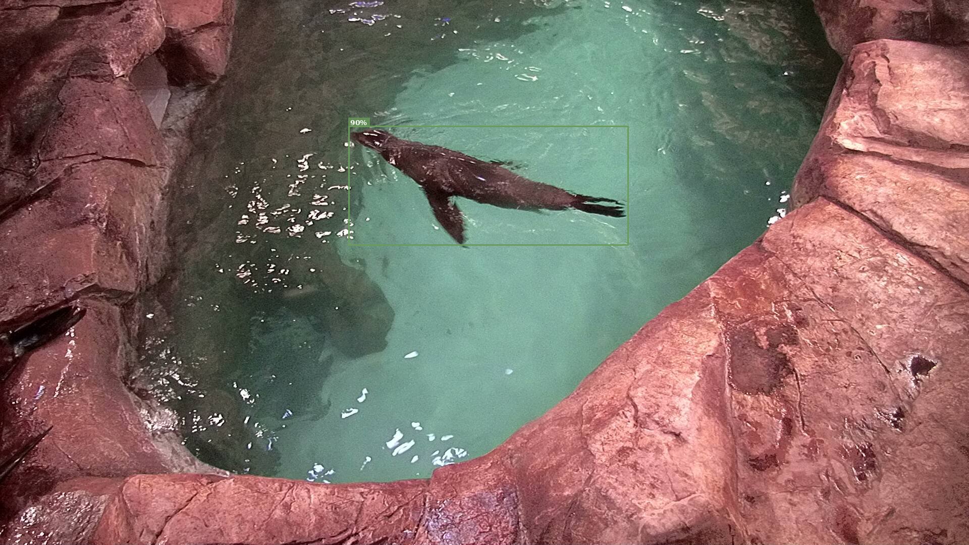 Mammal