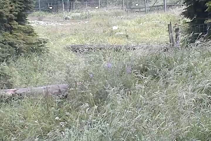 Bear Pond