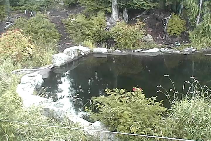 Bear Pond