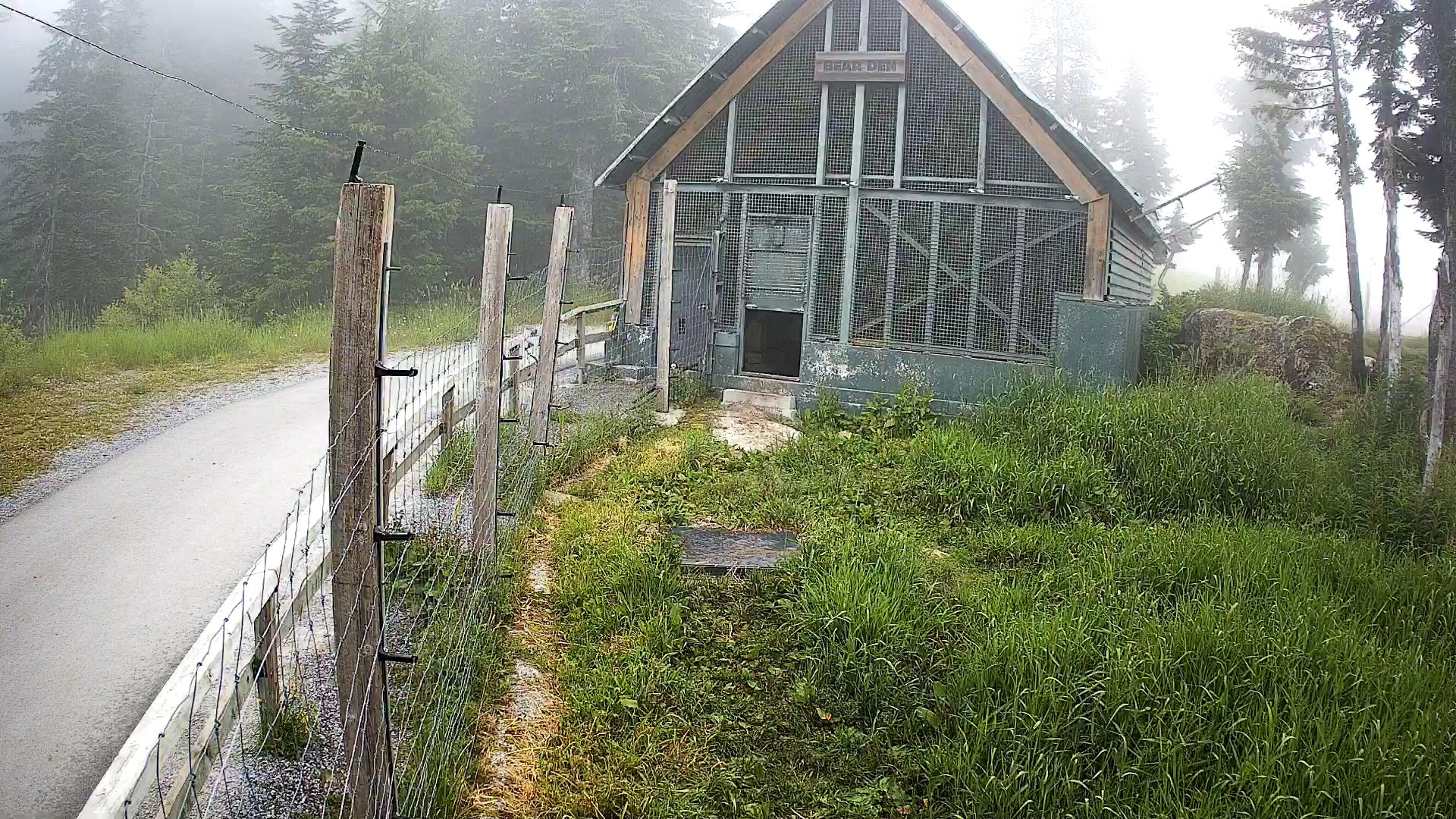 Bear Habitat Cam Front