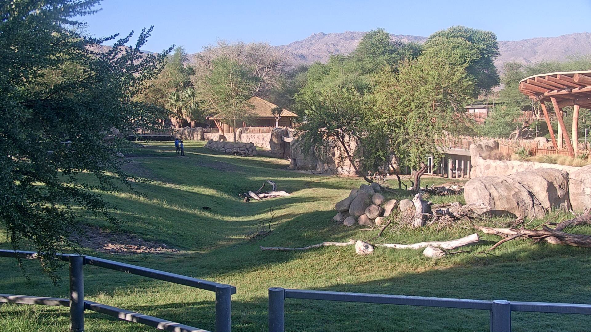 Rhino Savanna Cam