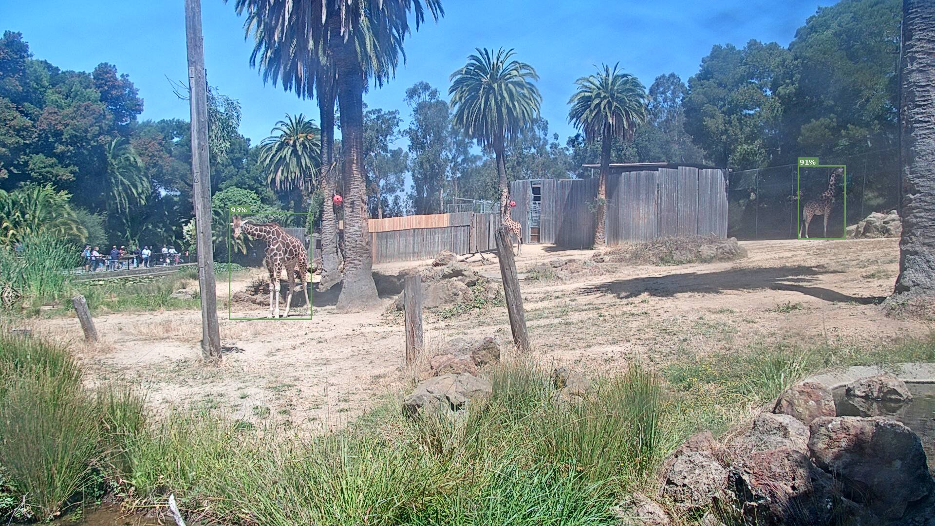 Camelopardalis