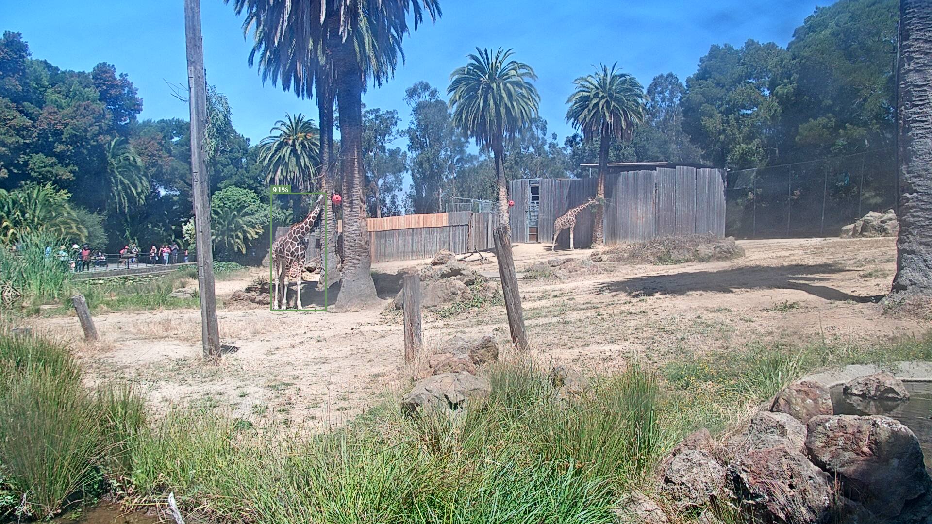 Camelopardalis