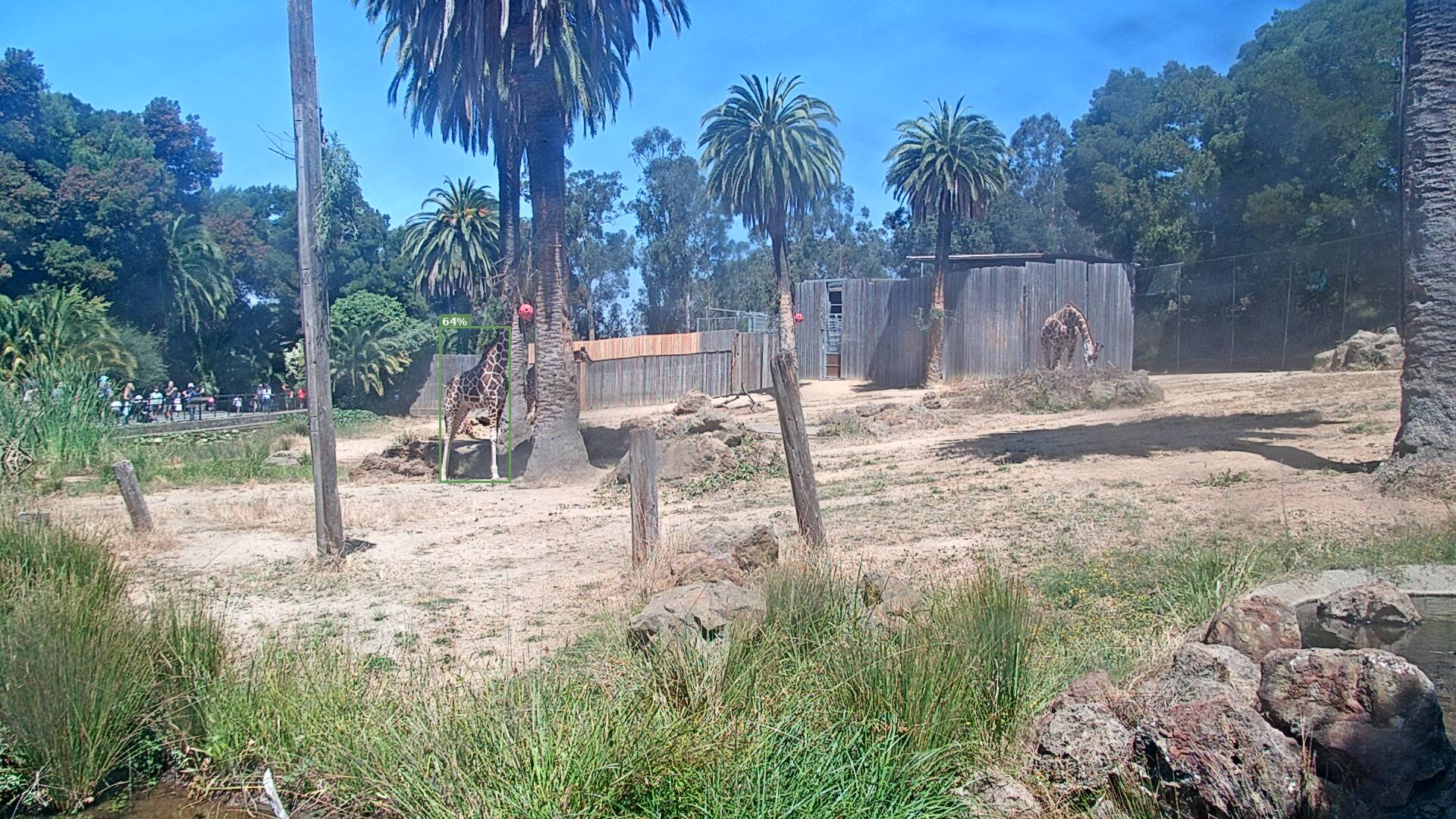 Camelopardalis