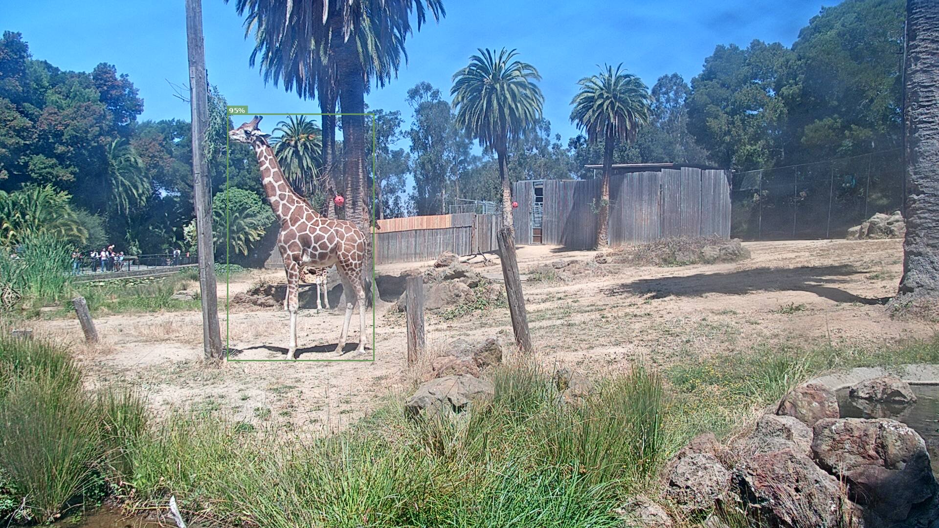 Camelopardalis