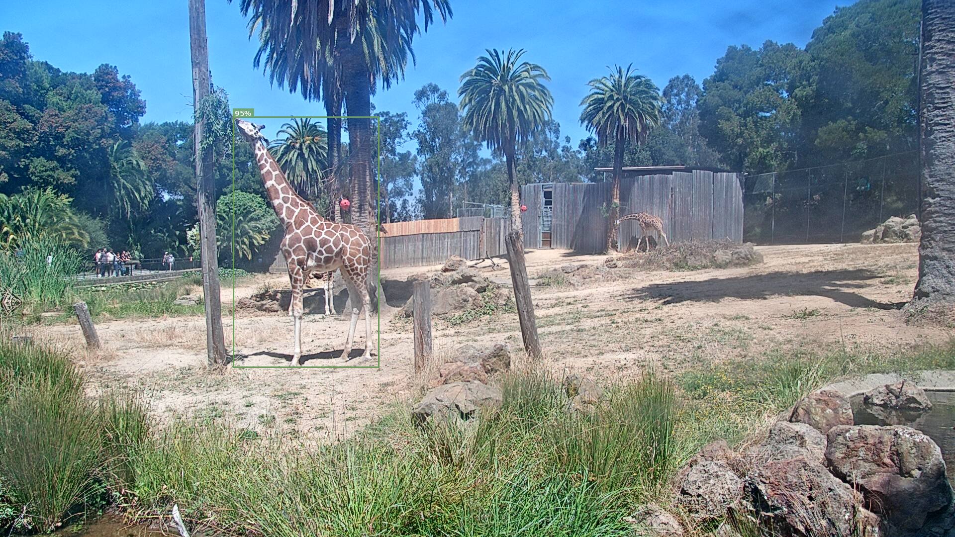Camelopardalis