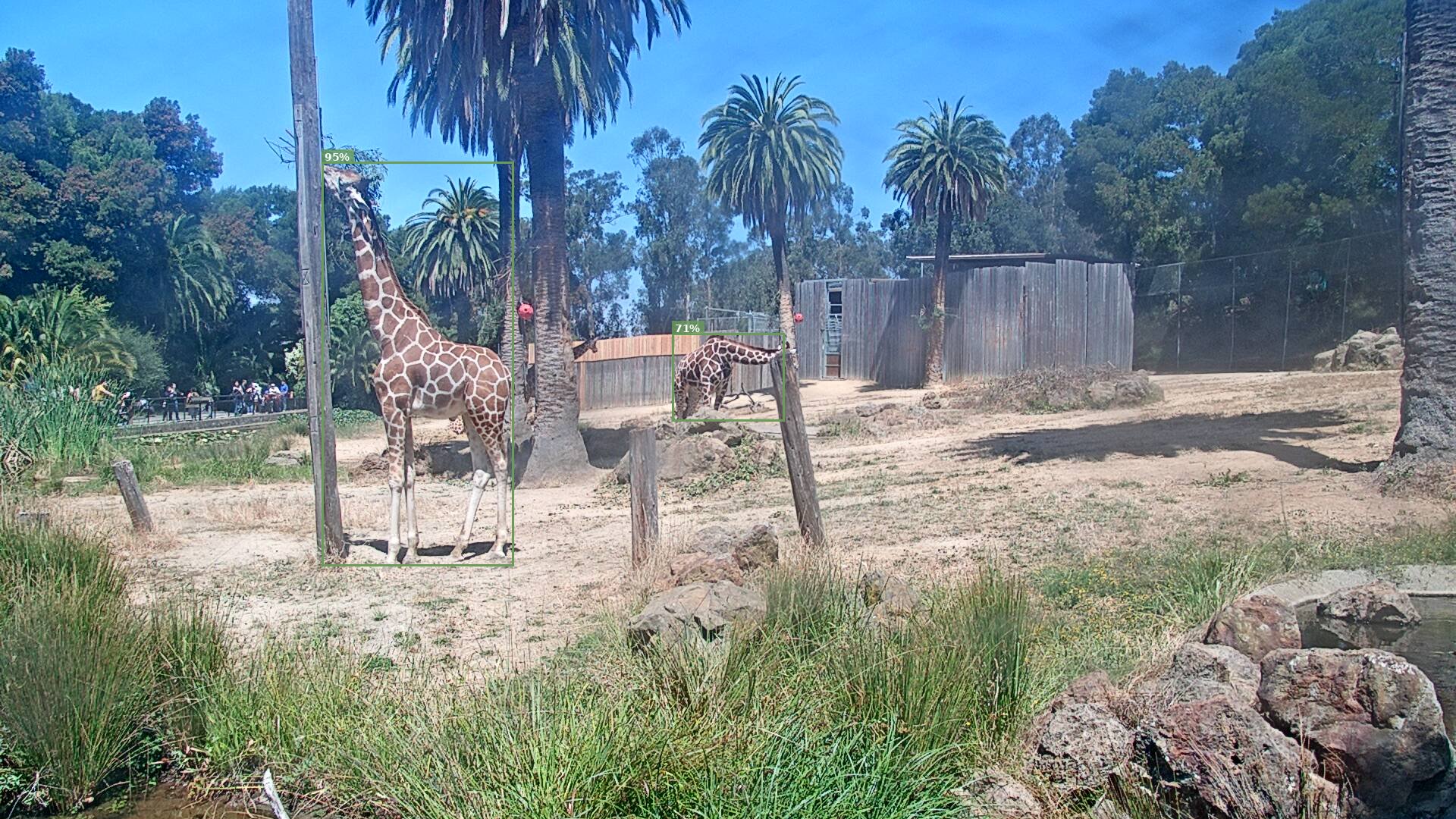 Camelopardalis