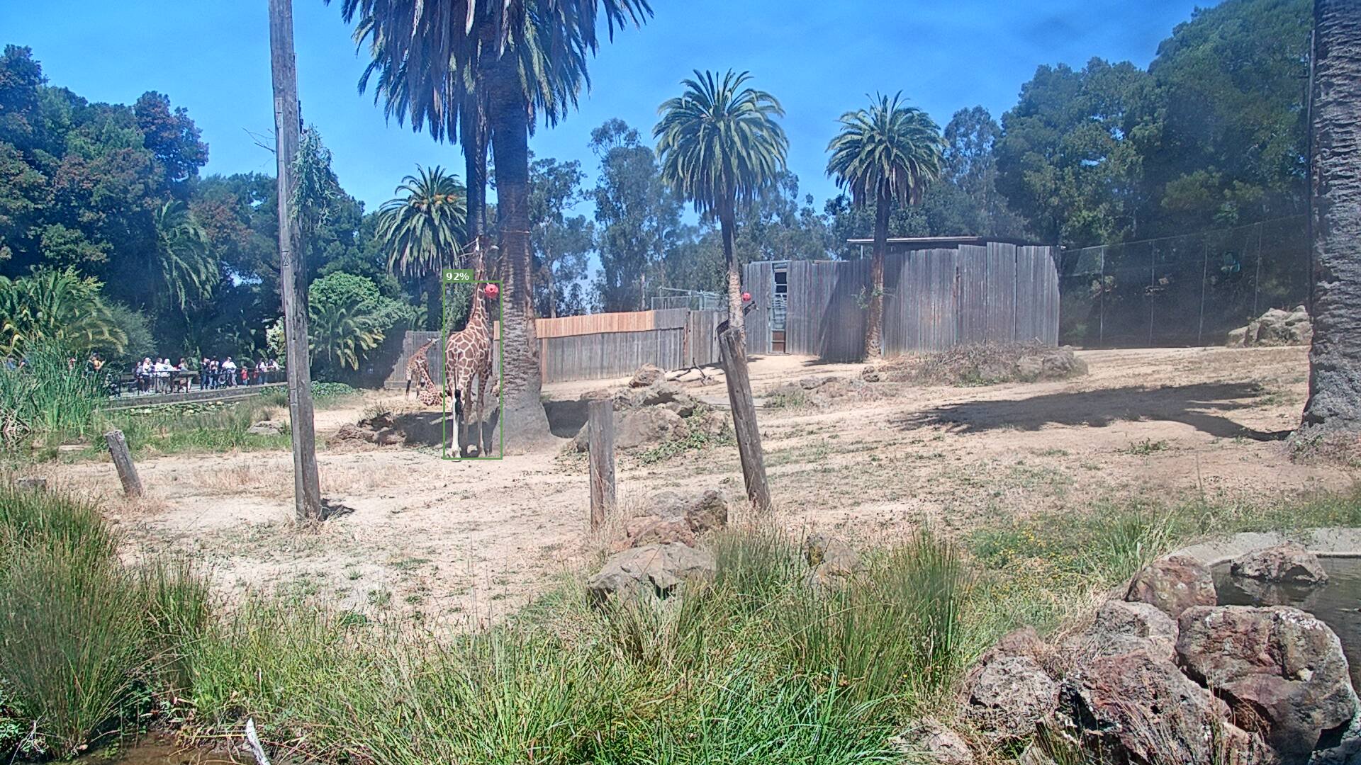 Camelopardalis