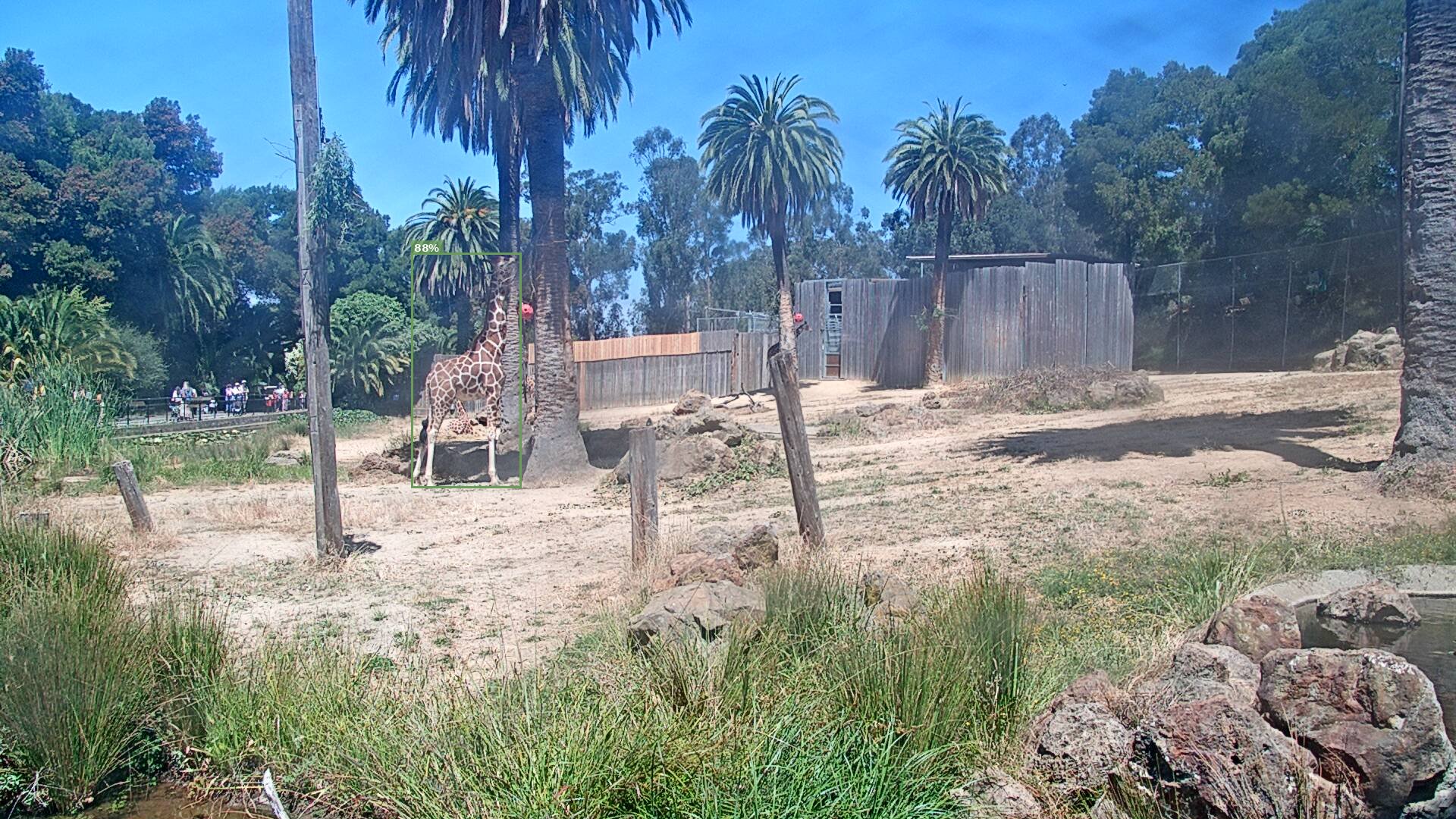 Camelopardalis