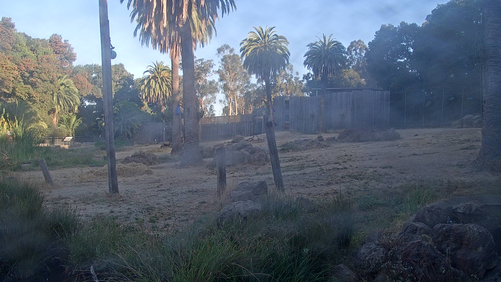Giraffe Habitat