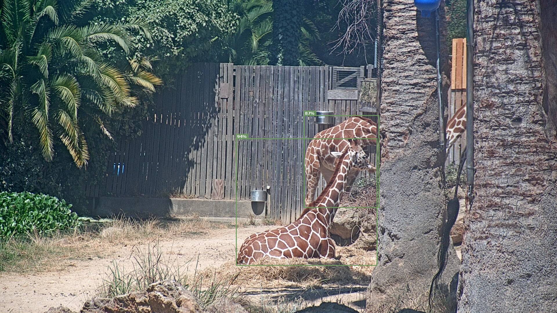 Camelopardalis