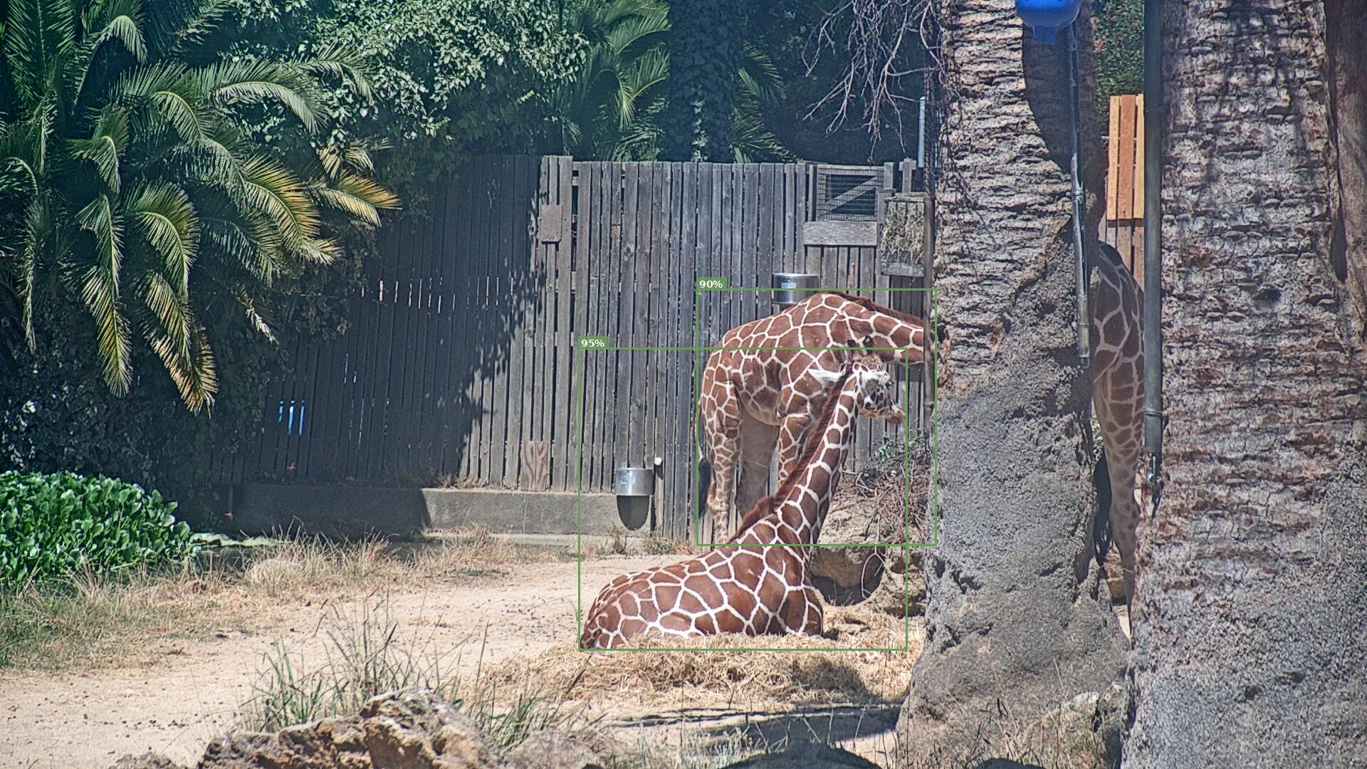 Camelopardalis