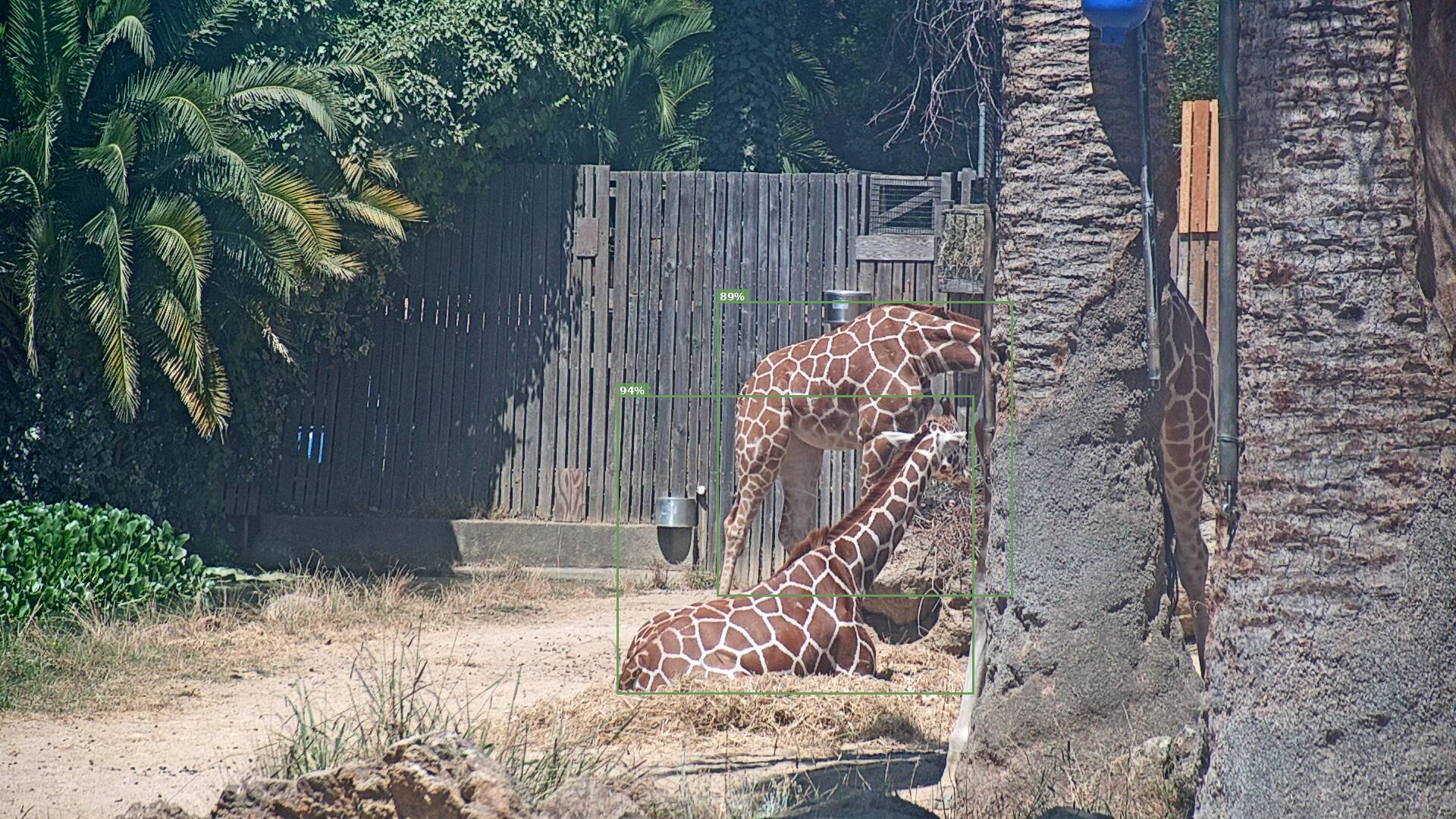 Camelopardalis