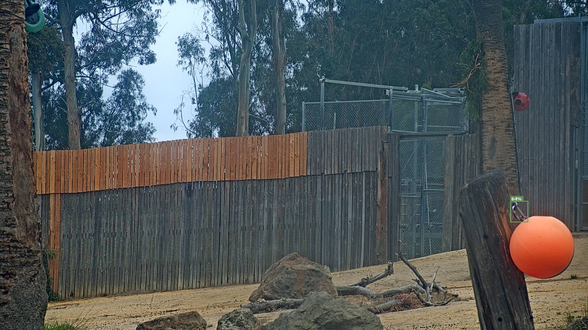 Giraffe Habitat