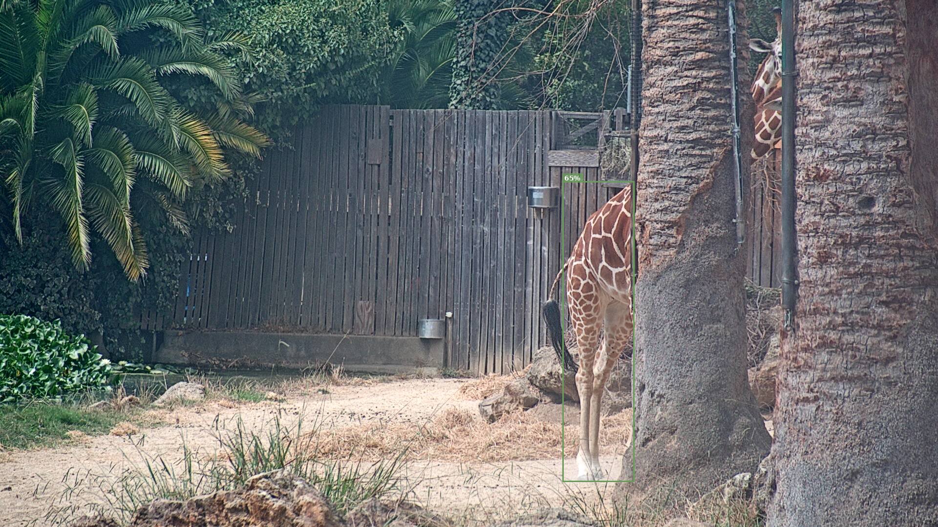 Camelopardalis