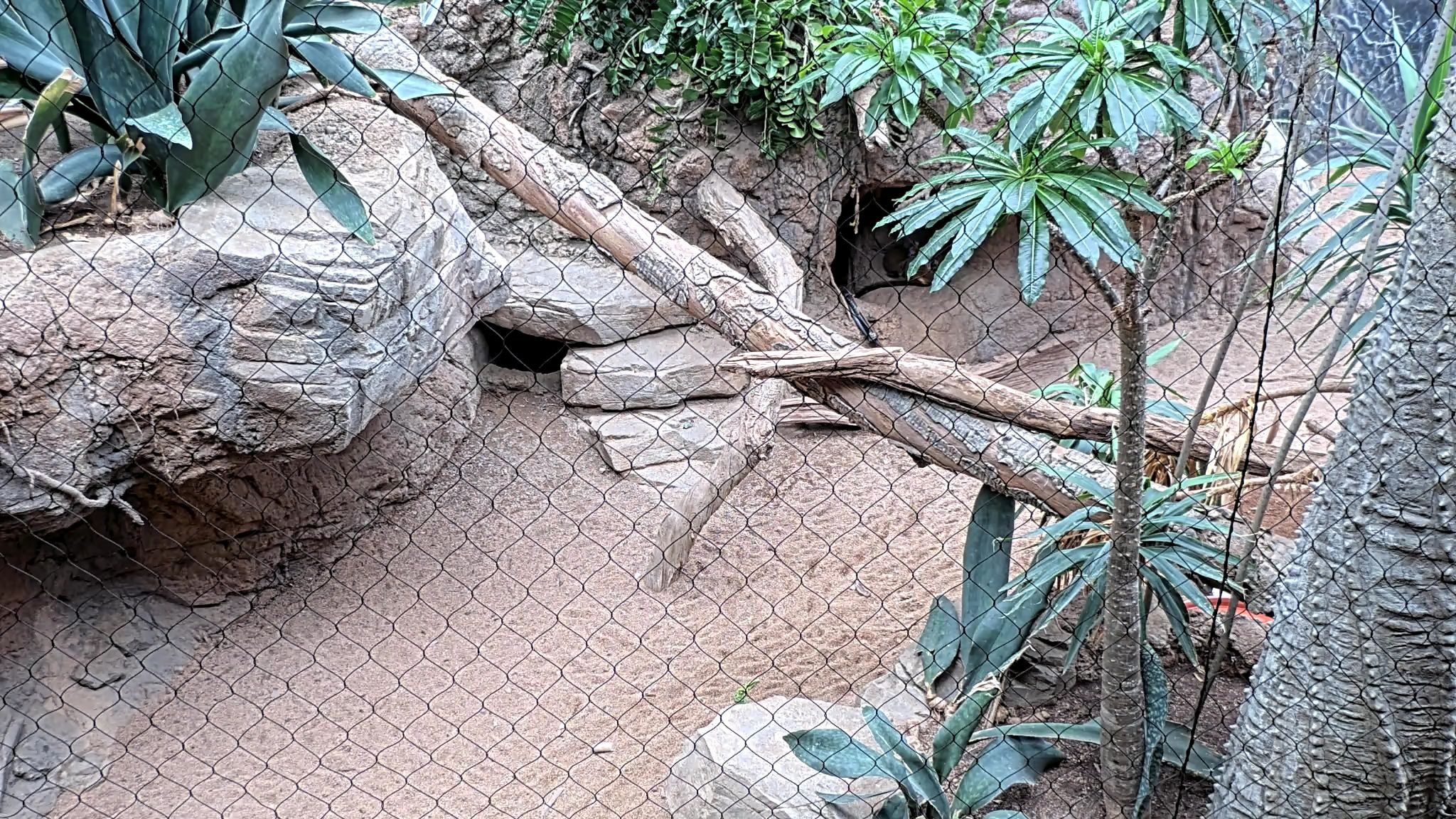 Madagascar Habitat