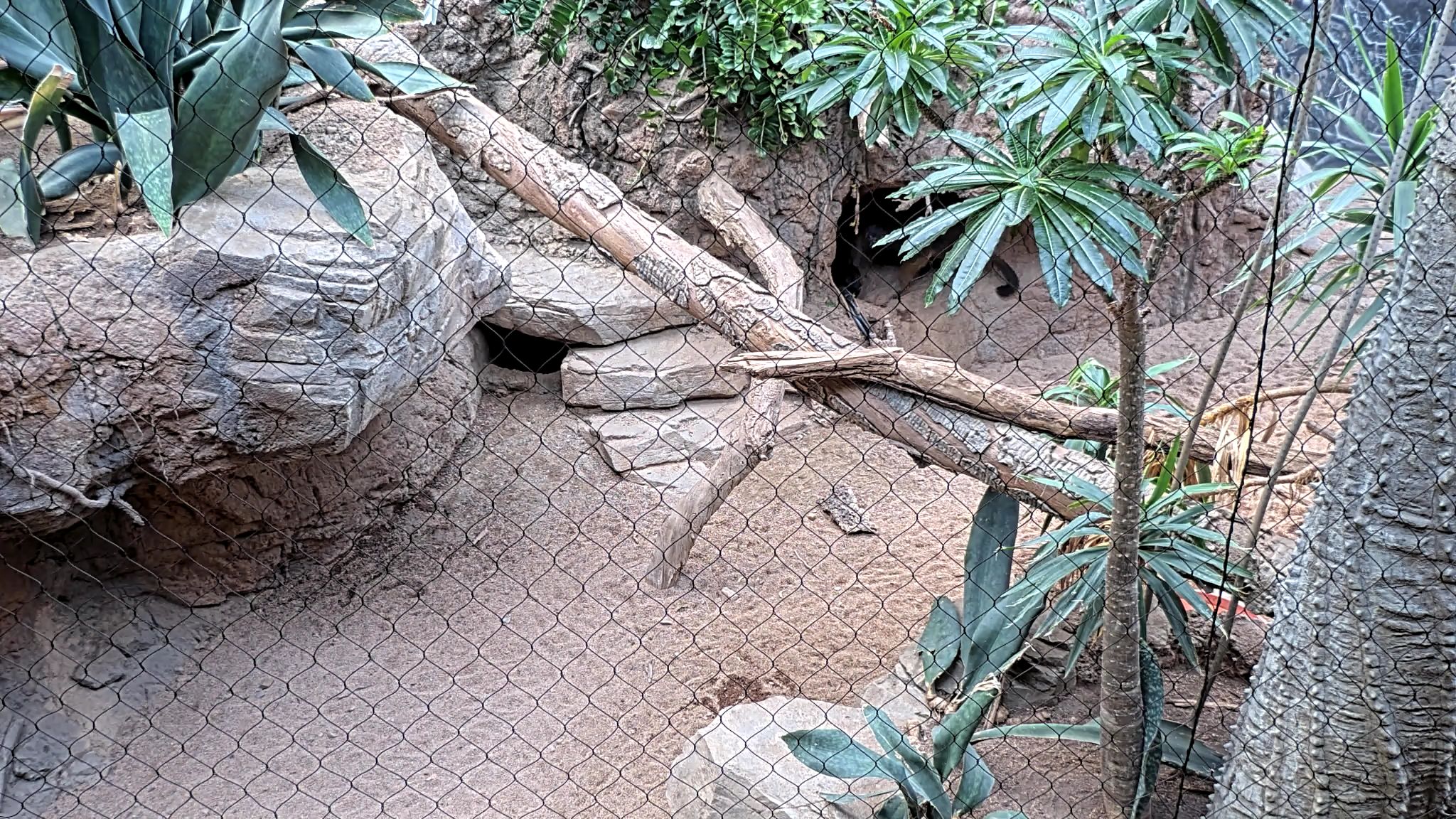 Madagascar Habitat