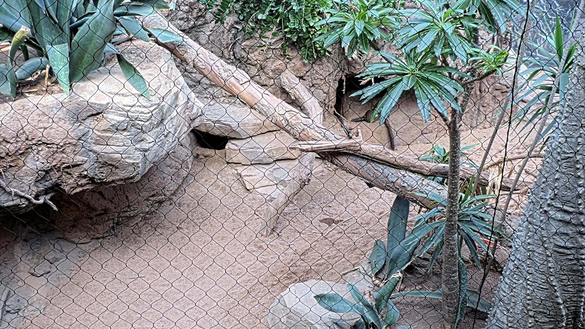 Madagascar Habitat