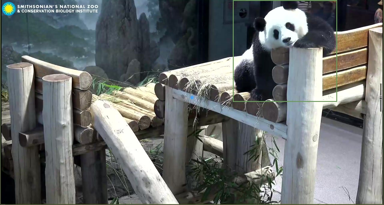 Melanoleuca