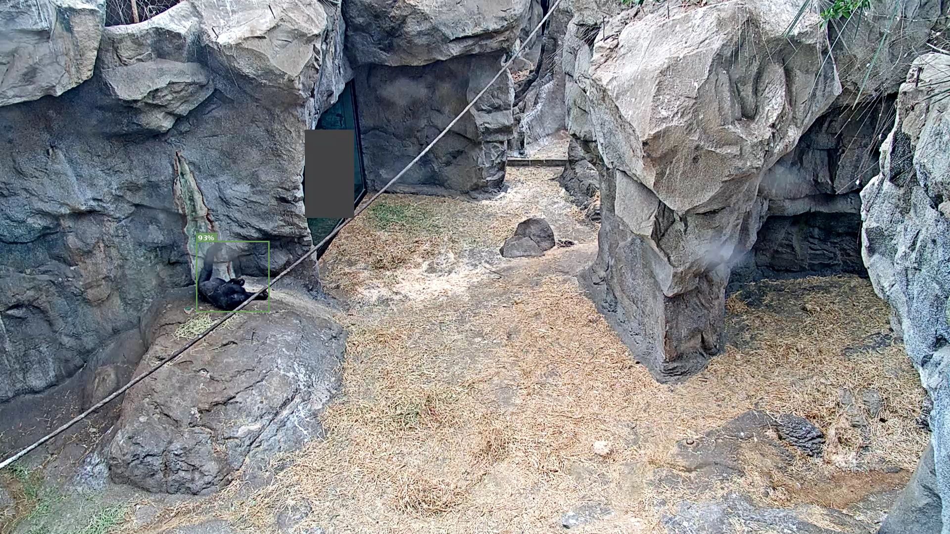 Mammal